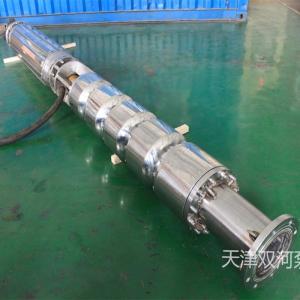 双河泵业不锈钢316潜水泵  250QJ100-325/13 不锈钢深井多级潜水泵